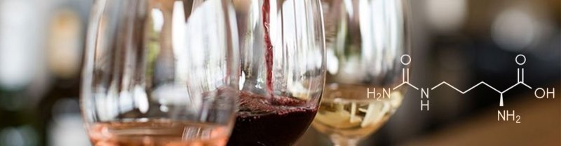 Prueba de estabilidad de proteínas en vinos